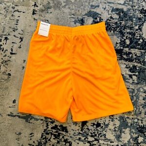 Nike Dry Fit shorts